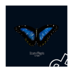 De Chenille À Papillon