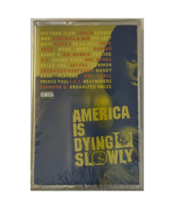 AMERICA-IS-DYING-SLOWLY-America-Is-Dying-Slowly