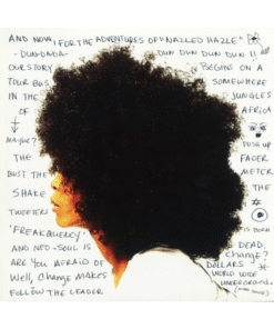 ERYKAH BADU - Worldwide Underground