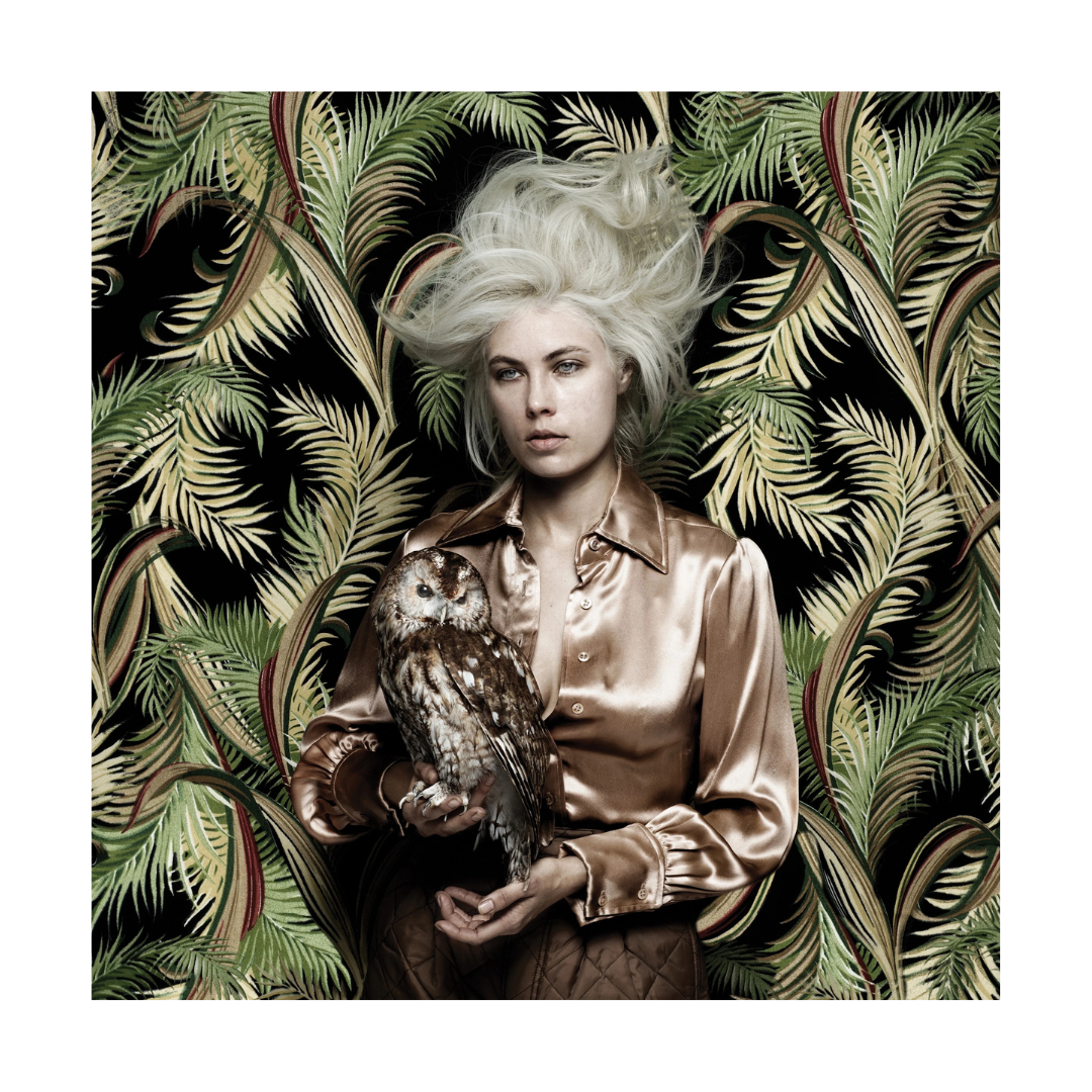 Atmosphere – The Day Before Halloween