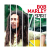 Bob Marley - Spirit of Bob Marley (LP Vinyl)