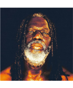 Tiken Jah Fakoly - Braquage De Pouvoir (2xLP Vinyl)
