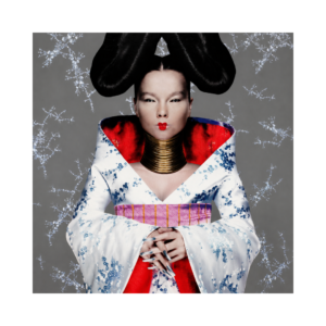 Björk – Homogenic [Vinyle LP] | Classique Art-Pop | Phono.ca