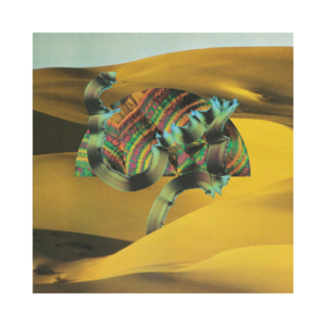 Django Django – Django Django